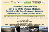 Chemicals and Wastes Sustainable Development Agenda ...€¦ · ¾Prevention and minimization of their generation in ... “sustainable management of waste through the application