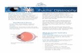 5559 - Fuchs DystrophyFuchs' dystrophy is a disease of the cornea. It is when cells in the corneal layer called the endothelium die off. These cells normally pump fluid from the cornea