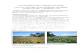 Pumpkin Cultivar Evaluations in West Virginia final Trial Reports/2017/Jett... · Pumpkins (Cucurbita sp. L.) are a very popular fall ornamental crop in West Virginia. Each year,