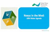 Nexus in the Med€¦ · Nexus: UfM and UNEP/MAP. . The Nexus: an adaptive approach. to evolving challenges - Beyond the ‘water-box’ - Integrating the ‘integrated’ - Accessing,