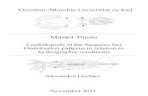 Christian -Albrechts -Universität zu Kiel€¦ · Masterarbeit Cephalopods of the Sargasso Sea Distribution patterns in relation to hydrographic Christian -Albrechts -Universität