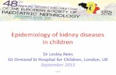 Epidemiology of kidney diseases in childrenipna-online.org/Media/Junior Classes/2015 - 2nd IPNA ESPN Master f… · Epidemiology of kidney diseases in children Dr Lesley Rees Gt Ormond