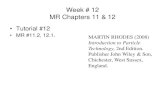 Week # 12 MR Chapters 11 & 12courses.nus.edu.sg/course/chewch/CN3124E/lectures/Week12.pdfWeek # 12 MR Chapters 11 & 12 • Tutorial #12 • MR #11.2, 12.1. MARTIN RHODES (2008) Introduction