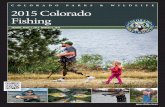2015 Colorado Fishing Regulations Brochurecpw.staet.co.us . C O LO R AD O PARKS & WILD LIFE. 2015 Colorado . Fishing. online brochure. SEASON: APRIL 1, 2015 - MARCH 31, 2016