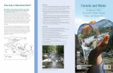 forests & water forests water brochure.pdf · Science Update SRS-64 United States Department of Agriculture Forest Service Research & Development Southern Reseach Station. The demand