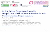 Colon Gland Segmentation with Deep Convolutional Neural … · 05/10/2015  · Oct. 5, 2015 Colon Gland Segmentation with Deep Convolutional Neural Networks and Total Variation Segmentation,