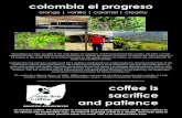 coffee is sacrifice and patience€¦ · coffee is sacrifice and patience at one line coffee, ... well-known variety gesha (or geisha) ... 1800 meters, and consists of caturra and