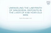 UNRAVELING THE LABYRINTH OF SINUSOIDAL DEPOSITS IN …handouts.uscap.org/2016_live_mouna_1.pdfunraveling the labyrinth of sinusoidal deposits in the liver of a 68 -year-old man taofic