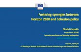 Fostering synergies between Horizon 2020 and Cohesion policy€¦ · EU R&D Policy t Horizon 2020 EU Cohesion Policy Differences > Excellence based / Non -territorial approach > Socio