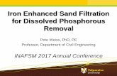 Iron Enhanced Sand Filtration for Dissolved Phosphorous … · 2017. 11. 2. · Martha Lake, MN IESF Performance 2015-2016 Performance (n = 33, treated depth = 290 m) (Erickson et
