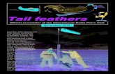 Official newsletter of the Christchurch Radio Fliers Club...Official newsletter of the Christchurch Radio Fliers Club Tail feathersTail feathers November, 2018 Geoff Tie, Peter Hewson