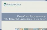 Drug Court Expungements: The Impactful Legislation of New Jersey · 2019. 2. 5. · discharge and ordinance violations can be expunged – 3 disorderly or petty disorderly offenses,
