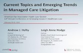 Current Topics and Emerging Trends in Managed Care Litigation · lhodge@babc.com American Bar Association Health Law Section 14th Annual Conference on Emerging Issues in Healthcare