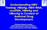 Understanding HBV Testing: HBsAg, HBV RNA, cccDNA, HBeAg …liver-institute.org/search_for_HBV_slides/02Locarnini_Lifer_AASLD Ta… · • Virion Productivity: “the number of intrahepatic