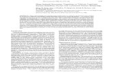Shear-Induced Orientation Transitions in Triblock ...rheology.tripod.com/z06.13.pdf · Macromolecules, Vol. 25, No. 16, 1992 Triblock Copolymer Styrene-Butadiene-Styrene 4177 lbeam