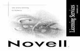 November 2, 1999 Novell Conf idential - ITwelzel.bizgwise.itwelzel.biz/Novellpdf/Novell Licensing Services 5.01 - User... · Overview User Access Licensing for NetWare 000-000000-000