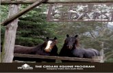 THE CEDARS EQUINE PROGRAM - WordPress.com · The equine program allows participants to appreciate the nature and behaviour of horses and watch how horses mirror human behaviour. This