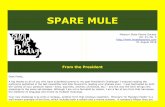 SPARE MULE - mostatepoetry.commostatepoetry.com/sparemule/2018Aug.pdf · Vicki Behl received 1st Honorable Mention in the NFSPS Land of Enchantment Award for her poem titled “Hair.”