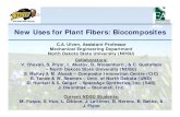 New Uses for Plant Fibers: Biocompositesnfrbmea.org/2010_conference/docs/Ulven - Plant Fiber Uses - 2010.pdf · Better insulation and sound absorption properties 9 Better degradation