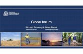 Clone forum presentation - agric.wa.gov.au · 4/4/2018  · Clone forum Richard Fennessy & Diana Fisher Research Officer Development Officer. 9.00am – Introduction and program outline