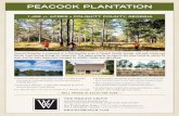 Peacock Plantation Map1 copy - wrightbroker.com · Peacock Plantation is comprised of 1,459 beautiful acres in Colquitt County, Georgia, with both history and Warrior Creek ﬂowing
