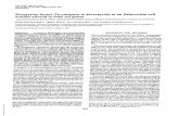 Elongation Tu to kirromycin an Esherichiacoli altered · BProc. Natl.Acad.Sci. USA74(1977) 4343-6 c 0 E 20-.0 4Eg 0o I_ vy 30 40 50 Temperature, 0C FIG. 2. Effectoftemperatureonkirromycinsensitivity