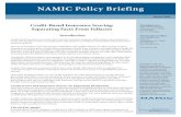 NAMIC Policy Briefing · NAMIC Policy Briefing Credit-Based Insurance Scoring: Separating Facts From Fallacies “Disparate impact” is a legal term that refers to situations in