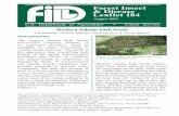 Forest Insect & Disease Leaflet 184...sae; spruce beetle, ; or D. rufi pennis Douglas-fi r beetle, D. pseudotsugae) and usually attacks weakened (e.g., drought stressed) or downed
