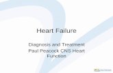Heart Failure - Marlborough Primary Health · European journal of Heart failure, 20, 216-227. doi:10.1002/ejhf.1059 Reference • McMurray et al (2005) Practical recommendations for