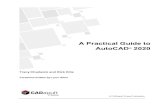 A Practical Guide to AutoCAD 2020 - Cadapult Software · iii About the Authors Tracy Chadwick serves as coordinator and instructor for the Computer Drafting Technology program at