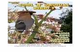 Avian Models for 3D Applicationsdocs.daz3d.com/lib/exe/fetch.php/public/read_me/index/14718/1471… · The “Cool ‘n’ Unusual Birds” series features two different selections