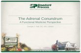 The Adrenal Conundrum€¦ · The Adrenal Conundrum: A Functional Medicine Perspective Key is to look at the patient as a whole, evaluating clinical imbalances beyond one organ. •