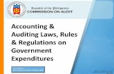 Accounting & Auditing Laws, Rules & Regulations on ... · Magna Carta Benefits for Public Health Workers Sec. 50, GP, 2017 GAA; RA No. 7305 and its IRR Hazard Allowance - 25% of the
