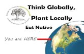 Think Globally, Plant Locally - Back to Natives Restoration...Sambucas mexicana Elderberry Elderberry Jam from livingwild.org 3 lbs Elderberries 1 lemon 1 package liquid pectin 4 cups