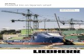 Job-Report Powerful trio on Spanish wharf · Castropol (Asturias) shipyard in northern Spain at the start of 2015. After a 1250 HC 50 (since 2009) and a 1250 HC 40 (since 2012) the