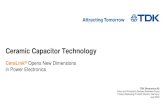 Ceramic Capacitor Technology - TDK Electronics...Snubber capacitor DC-Link capacitor Filter capacitor. CeraLink technology supports Increasing capacitance with DC bias and best in
