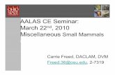 AALAS CE Seminar: March 22 , 2010 Mi llMiscellaneous SllM ...ularnews.osu.edu/files/2010/03/AALAS-CE_misc-small-mammals-cfre… · Ferrets Viral Disease:Viral Disease: • Canine