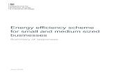 Energy efficiency scheme for small and medium sized … · 2020. 6. 12. · Energy efficiency scheme for small and medium sized businesses: Summary of responses . 5 . Chapter 1: Introduction
