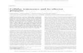 Cellular senescence and its effector programsgenesdev.cshlp.org/content/28/2/99.full.pdf · 2014. 1. 20. · REVIEW Cellular senescence and its effector programs Rafik Salama,1,3