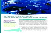 FACTSHEET - CMS · seasonal aggregations of feeding reef manta rays (Manta alfredi) and whale sharks (Rhincodon typus). A National Geographic Magazine article and subsequent media