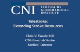 State of the Stroke Program Stroke Numbers by MonthRecommendations for Comprehensive Stroke Centers. Stroke. 2005;36:1597-1618 “Within such a network or system, one approach to acute
