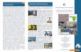 Presentazione Research Infrastructures ricerca IREA_2014_eng.pdf · Presentazione electromagnetic diagnostics laboratory is equipped with a georadar system for the survey of sub-soils