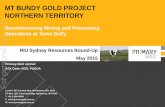 1M ounce Mt Bundy Gold Gold focused company with advanced assets in the Northern Territory, Australia