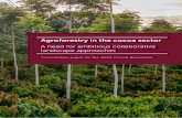 Agroforestry in the cocoa sector - Mighty Earth · for cocoa agroforestry systems with no specific number per hectare; x Our company’s definition: Cacao agroforestry is a managed,