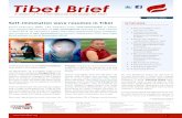 Tibet Brief - International Campaign for Tibet Tibet Brief A report of the International Campaign for