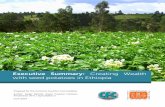 Executive Summary : Creating Wealth with seed potatoes in ......Executive Summary: Creating Wealth with seed potatoes in Ethiopia | 2 The project’s introduction of professionalised