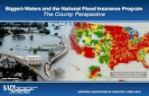Biggert-Waters and the National Flood Insurance Program ... · Source: Federal Emergency Management Agency Subsidized Rate Actuarial Rate 1 Foot Above BFE* 1 Foot Below BFE 10 Feet