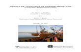 Impacts of the Construction of the Brightwater Marine Outfall on … · 2020. 5. 28. · Impacts of the Construction of the Brightwater Marine Outfall on Intertidal Biotic Communities