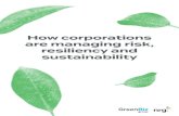 How corporations are managing risk, resiliency and ...€¦ · How corporations are managing risk, resilience and sustainability 6 Establishing a climate plan A number of initiatives