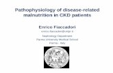 Pathophysiology of disease-related malnutrition in CKD ... · Presentazione di PowerPoint Author: fiaccadori Created Date: 9/20/2018 10:52:59 AM ...